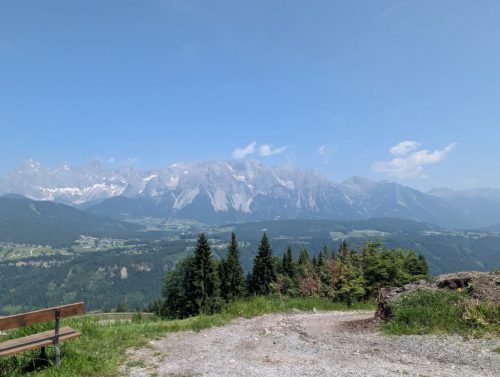 PXL_20250610_093808312